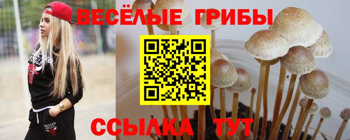 даркнет сайт  Вход с VPN  Усолье-Сибирское  Псилоцибиновые грибы Cubensis 