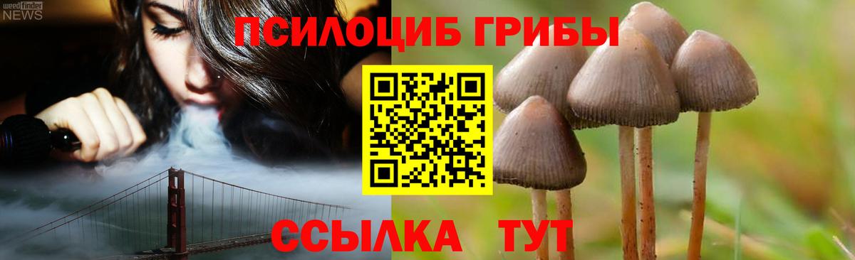 Псилоцибиновые грибы прущие грибы Усолье-Сибирское